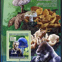 Guinea - Conakry 2009 Fungi & Albert Schweitzer #1 perf s/sheet unmounted mint