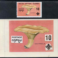 Batum 1994 Fungi - Chantarelle 10r with Scout emblem, original hand-painted atywork on card 90 mm x 65 mm with overlay (inscription part is missing) plus issued stamp. Note this item is privately produced and is offered purely on ……Details Below