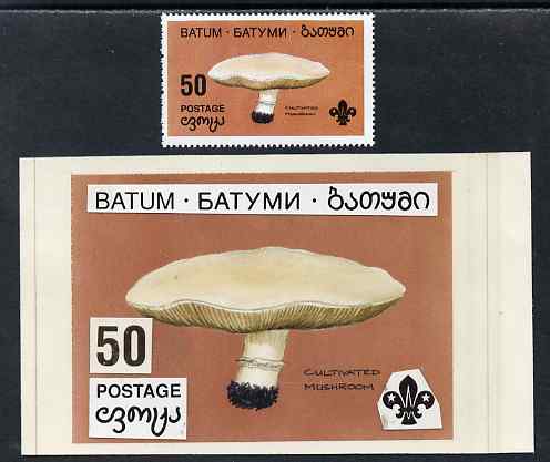 Batum 1994 Fungi - Cultivated Mushroom 50r with Scout emblem, original hand-painted atywork on card 90 mm x 65 mm with overlay plus issued stamp. Note this item is privately produced and is offered purely on its thematic appeal, i……Details Below