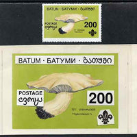Batum 1994 Fungi - St Georges Mushroom 200r with Scout emblem, original hand-painted atywork on card 90 mm x 65 mm with overlay plus issued stamp. Note this item is privately produced and is offered purely on its thematic appeal, ……Details Below