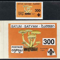 Batum 1994 Fungi - Sulphur Tuft 300r with Scout emblem, original hand-painted atywork on card 90 mm x 65 mm with overlay plus issued stamp. Note this item is privately produced and is offered purely on its thematic appeal, it has no postal validity
