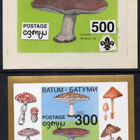 Batum 1994 Fungi - Wood Blewits with Scout emblem, original hand-painted atywork on card 90 mm x 65 mm with overlay denominated 500r but used for 300r s/sheet which is included. Note this item is privately produced and is offered ……Details Below