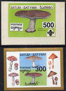Batum 1994 Fungi - Wood Blewits with Scout emblem, original hand-painted atywork on card 90 mm x 65 mm with overlay denominated 500r but used for 300r s/sheet which is included. Note this item is privately produced and is offered ……Details Below