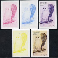 Eynhallow 1974 Owls (UPU Centenary) 3.5p (Snowy Owl) set of 5 imperf progressive colour proofs comprising 3 individual colours (red, blue & yellow) plus 3 and all 4-colour composites unmounted mint