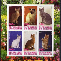 Burundi 2009 Domestic Cats #2 imperf sheetlet containing 6 values unmounted mint
