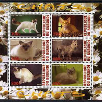 Burundi 2009 Domestic Cats #3 perf sheetlet containing 6 values unmounted mint
