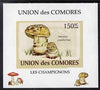 Comoro Islands 2009 Fungi #2 - 150 FC individual imperf deluxe sheet unmounted mint. Note this item is privately produced and is offered purely on its thematic appeal, it has no postal validity