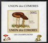 Comoro Islands 2009 Fungi #4 - 300 FC individual imperf deluxe sheet unmounted mint. Note this item is privately produced and is offered purely on its thematic appeal, it has no postal validity