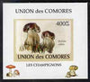 Comoro Islands 2009 Fungi #5 - 400 FC individual imperf deluxe sheet unmounted mint. Note this item is privately produced and is offered purely on its thematic appeal, it has no postal validity