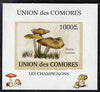 Comoro Islands 2009 Fungi #6 - 1000 FC individual imperf deluxe sheet unmounted mint. Note this item is privately produced and is offered purely on its thematic appeal, it has no postal validity