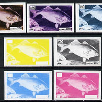 Iso - Sweden 1973 Fish 250 (Bass) set of 7 imperf progressive colour proofs comprising the 4 individual colours plus 2, 3 and all 4-colour composites unmounted mint