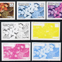 Eynhallow 1974 Fruit (Scout Anniversary) 1p (Black Bryony) set of 7 imperf progressive colour proofs comprising the 4 individual colours plus 2, 3 and all 4-colour composites unmounted mint