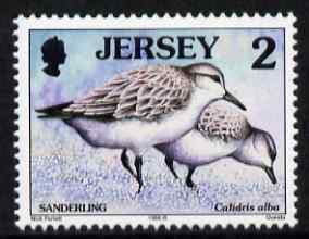 Jersey 1997-99 Seabirds & Waders 2p Sanderling unmounted mint SG 775