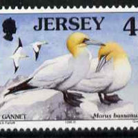 Jersey 1997-99 Seabirds & Waders 4p Northern Gannet unmounted mint SG 776