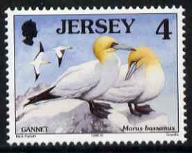 Jersey 1997-99 Seabirds & Waders 4p Northern Gannet unmounted mint SG 776