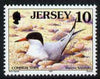 Jersey 1997-99 Seabirds & Waders 10p Common Tern unmounted mint SG 778