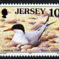 Jersey 1997-99 Seabirds & Waders 10p Common Tern unmounted mint SG 778