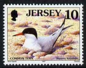 Jersey 1997-99 Seabirds & Waders 10p Common Tern unmounted mint SG 778