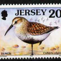 Jersey 1997-99 Seabirds & Waders 20p Dunlin unmounted mint SG 780