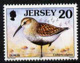 Jersey 1997-99 Seabirds & Waders 20p Dunlin unmounted mint SG 780