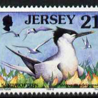 Jersey 1997-99 Seabirds & Waders 21p Sandwich Tern unmounted mint SG 781