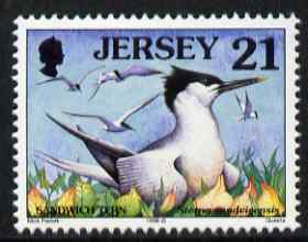 Jersey 1997-99 Seabirds & Waders 21p Sandwich Tern unmounted mint SG 781