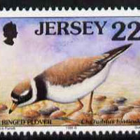 Jersey 1997-99 Seabirds & Waders 22p Ringed Plover unmounted mint SG 782