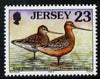 Jersey 1997-99 Seabirds & Waders 23p Bar-tailed Godwit unmounted mint SG 783