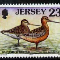 Jersey 1997-99 Seabirds & Waders 23p Bar-tailed Godwit unmounted mint SG 783