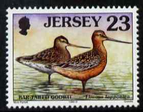 Jersey 1997-99 Seabirds & Waders 23p Bar-tailed Godwit unmounted mint SG 783