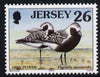 Jersey 1997-99 Seabirds & Waders 26p Grey Plover unmounted mint SG 786