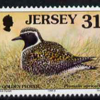 Jersey 1997-99 Seabirds & Waders 31p Golden Plover unmounted mint SG 791