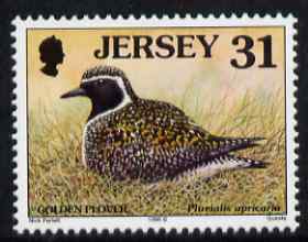 Jersey 1997-99 Seabirds & Waders 31p Golden Plover unmounted mint SG 791