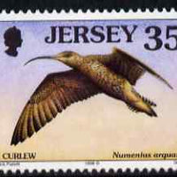 Jersey 1997-99 Seabirds & Waders 35p Western Curlew unmounted mint SG 795