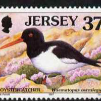 Jersey 1997-99 Seabirds & Waders 37p Oystercatcher unmounted mint SG 796