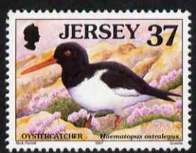 Jersey 1997-99 Seabirds & Waders 37p Oystercatcher unmounted mint SG 796