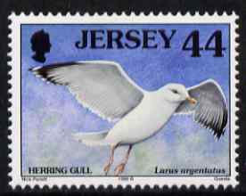 Jersey 1997-99 Seabirds & Waders 44p Herring Gull unmounted mint SG 798