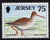 Jersey 1997-99 Seabirds & Waders 75p Common Redshank unmounted mint SG 803
