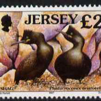 Jersey 1997-99 Seabirds & Waders £2 Shag unmounted mint SG 805