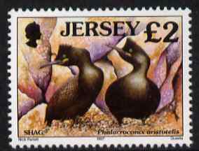 Jersey 1997-99 Seabirds & Waders £2 Shag unmounted mint SG 805