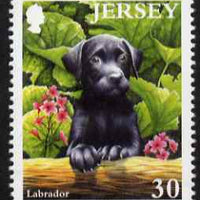 Jersey 2003 Black Labrador Puppy 30p from Pets set unmounted mint, SG 1113