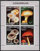 St Thomas & Prince Islands 2009 Mushrooms ofSt Thomas perf sheetlet containing 4 values unmounted mint