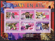 Guinea - Conakry 2008 Cats of Asia perf sheetlet containing 6 values unmounted mint