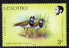 Lesotho 1988 Birds 3s Plover minor colour shift resulting in two birds unmounted mint,SG 792var (not so pronounced as #57289)