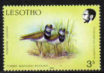 Lesotho 1988 Birds 3s Plover minor colour shift resulting in two birds unmounted mint,SG 792var (not so pronounced as #57289)