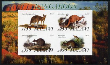 Malawi 2010 Kangaroos imperf sheetlet containing 4 values unmounted mint
