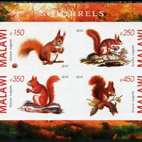 Malawi 2010 Squirrels imperf sheetlet containing 4 values unmounted mint