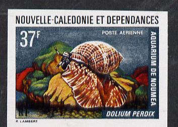 New Caledonia 1974 Marine Fauna 37f (Dolium Shell) imperf proof from limited printing unmounted mint, SG 524*