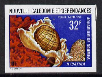 New Caledonia 1974 Marine Fauna 32f (Hydatina Shell) imperf proof from limited printing unmounted mint, SG 523*
