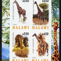 Malawi 2010 Giraffes imperf sheetlet containing 4 values unmounted mint